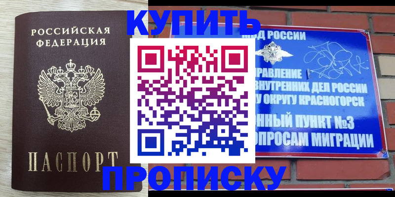 прописка гарантия в Сочи